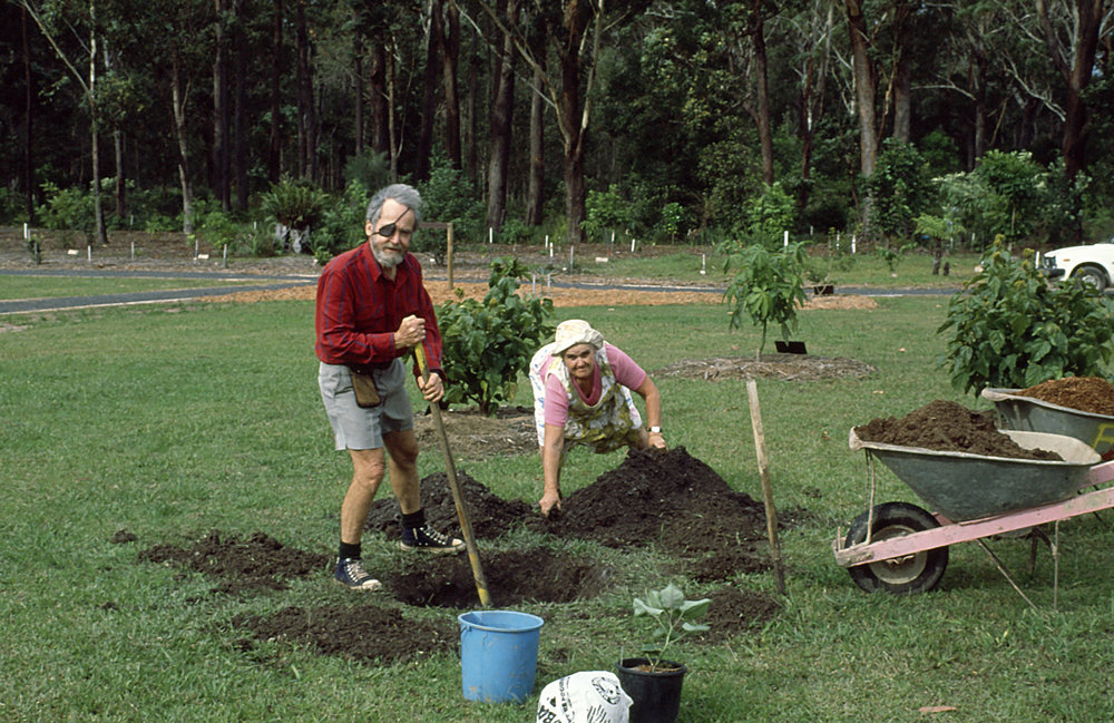 Tree planting in the North America section of the North Coast Regional Botanic Garden