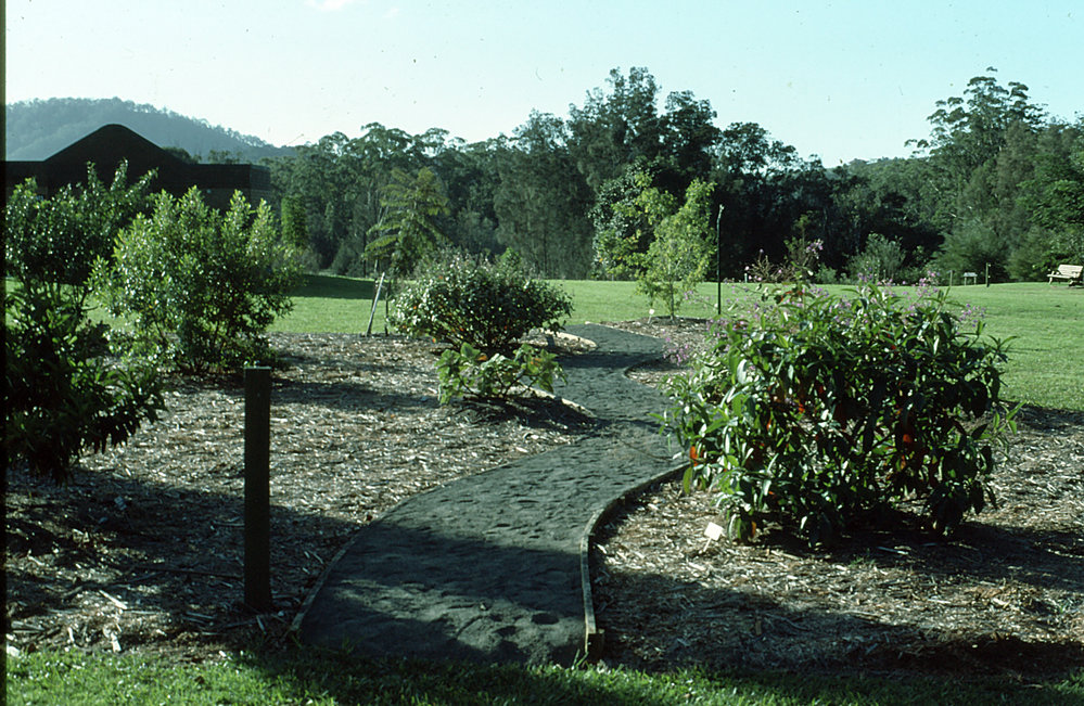 Tibouchina Walk at the Regional Botanic Garden