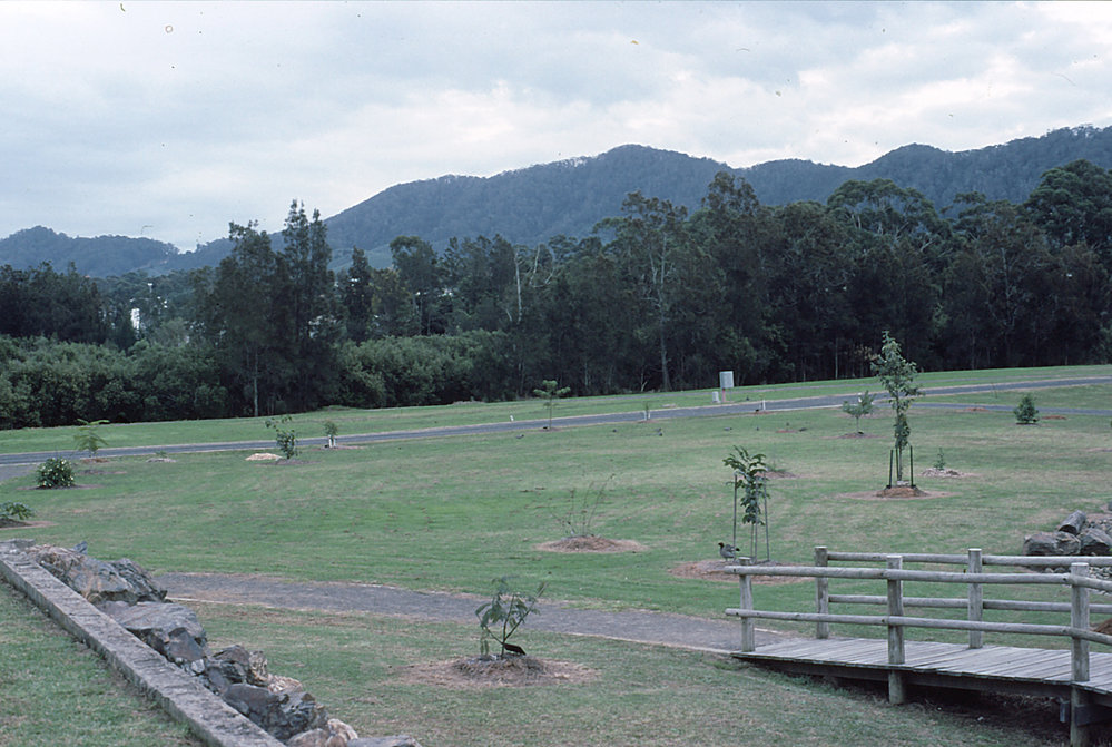 The newly planted India sections in the North Coast Regional Botanic Garden
