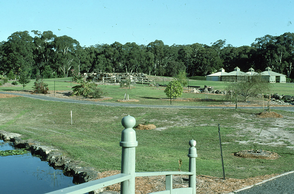 Looking south from the bridge in the Japan section of the North Coast Regional Botanic Garden