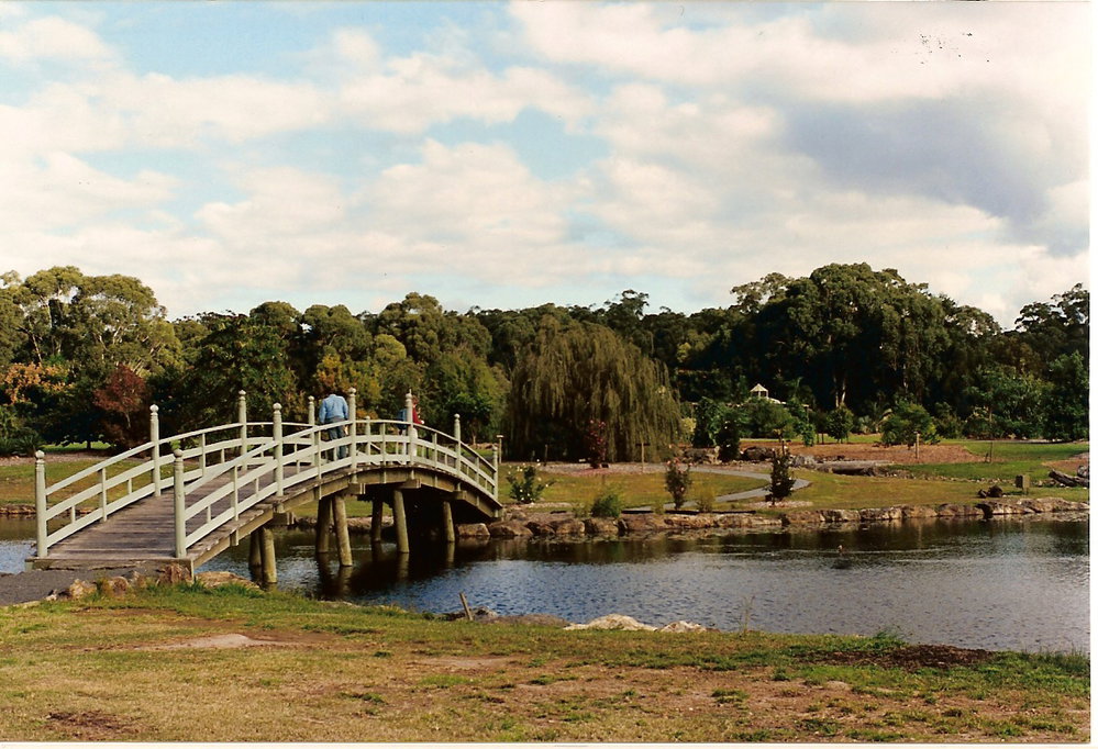The Japanese garden in the North Coast Regional Botanic Garden after four years of progress, 1995
