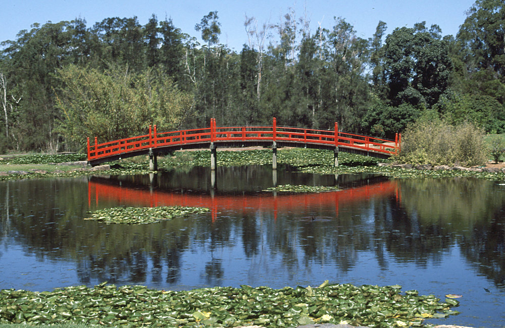 The red bridge in the Japanese garden at the North Coast Regional Botanic Garden