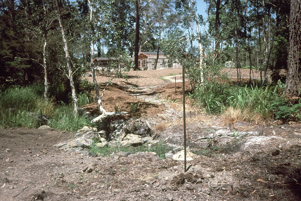 Laying out paths in the public display area of the North Coast Regional Botanic Garden