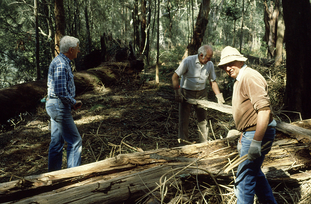 Clearing the rainforest area in the North Coast Regional Botanic Garden, 1988