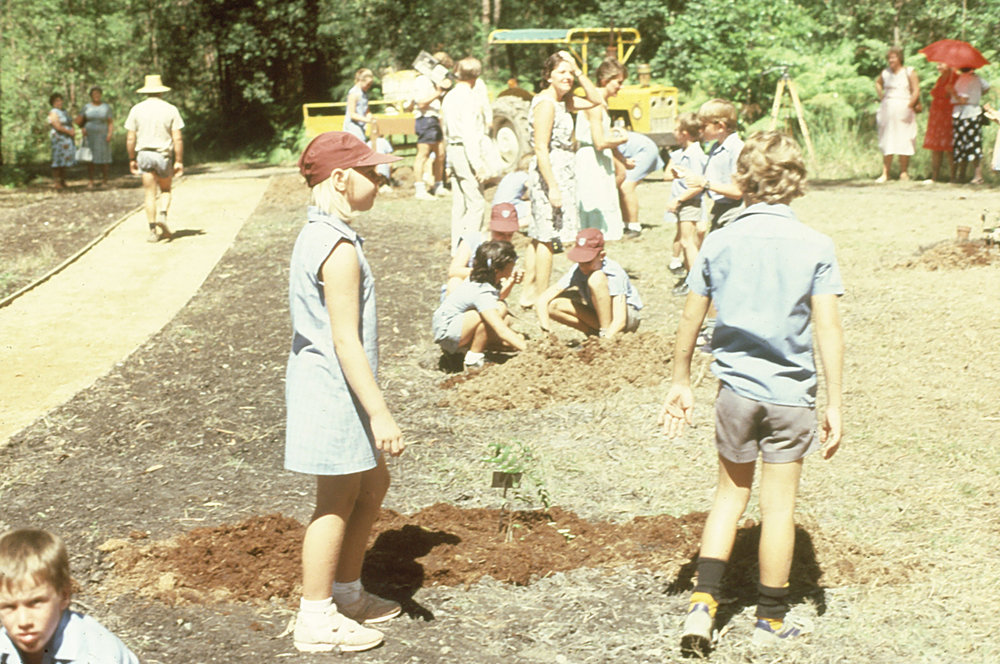 School children planting rare and endangered plants in the North Coast Regional Botanic Garden, 1985