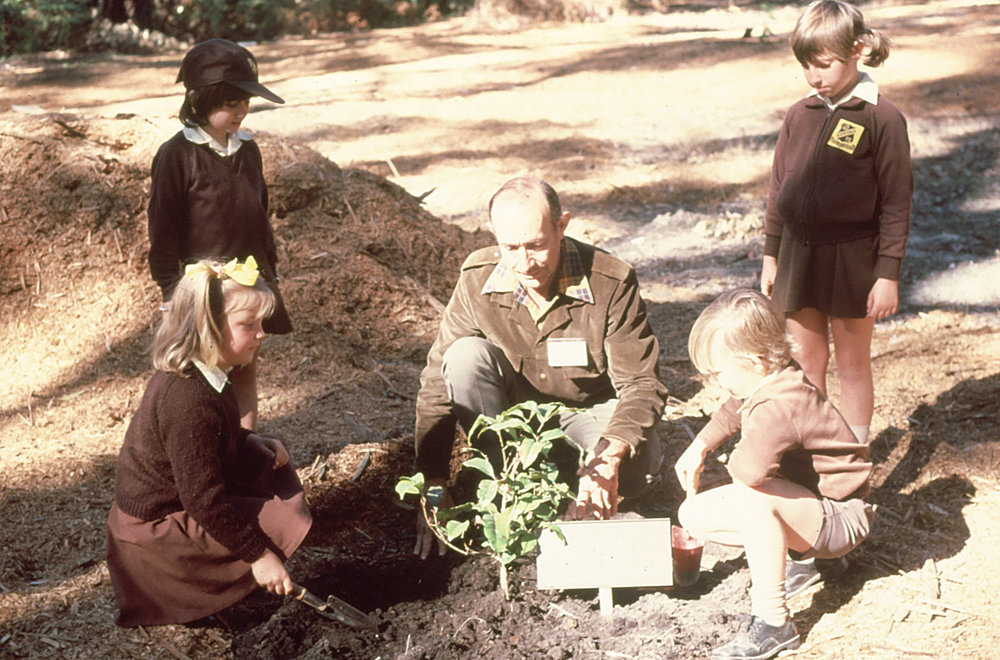 Teaching school children in the rare and endangered section of the Regional Botanic Garden, 1985