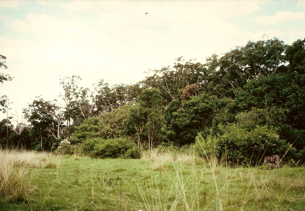 Marking out the sensory garden site in the North Coast Regional Botanic Garden