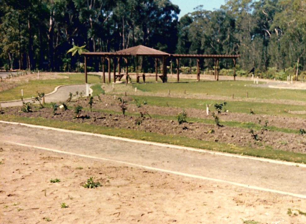 Early development of the sensory garden in the North Coast Regional Botanic Garden