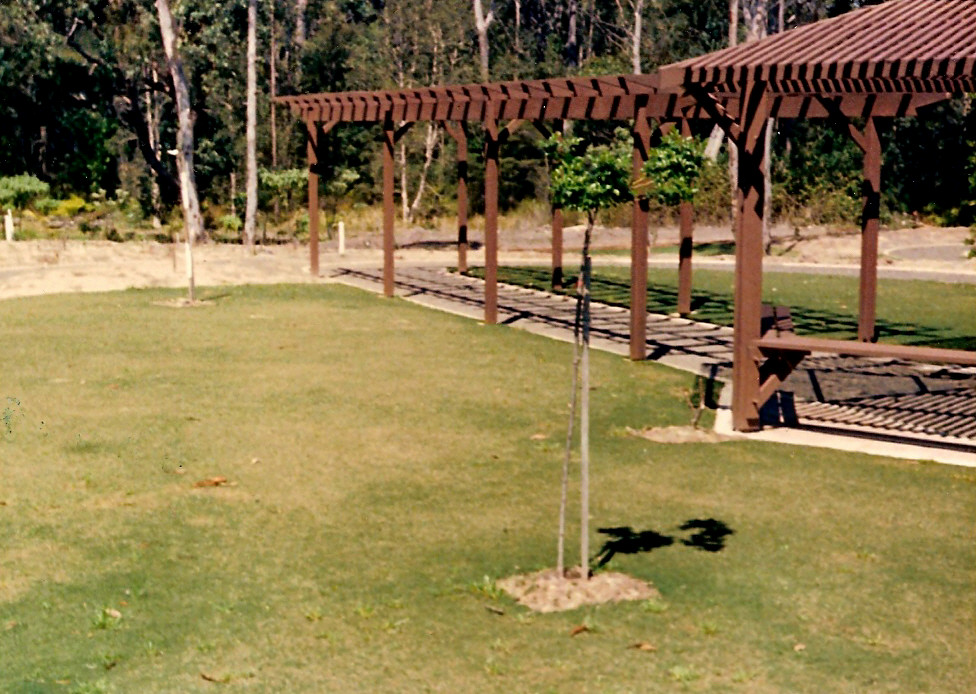 Sensory garden pergola in the North Coast Regional Botanic Garden