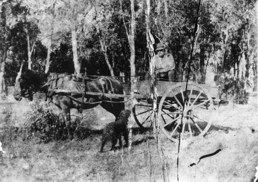 Clarrie Bailey with horse and cart