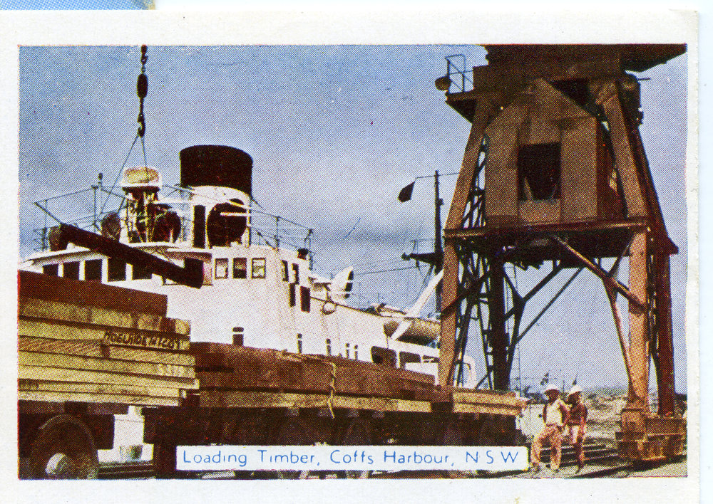 Timber stacks await loading, c.1955