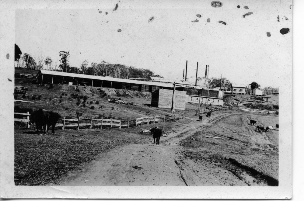 Timmsvale Hydro Timber Mill 