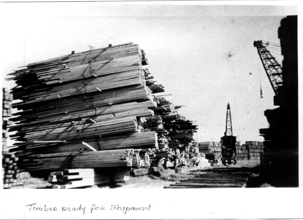 Timber stockpile at Coffs Harbour Jetty waiting for shipment, early 1900s