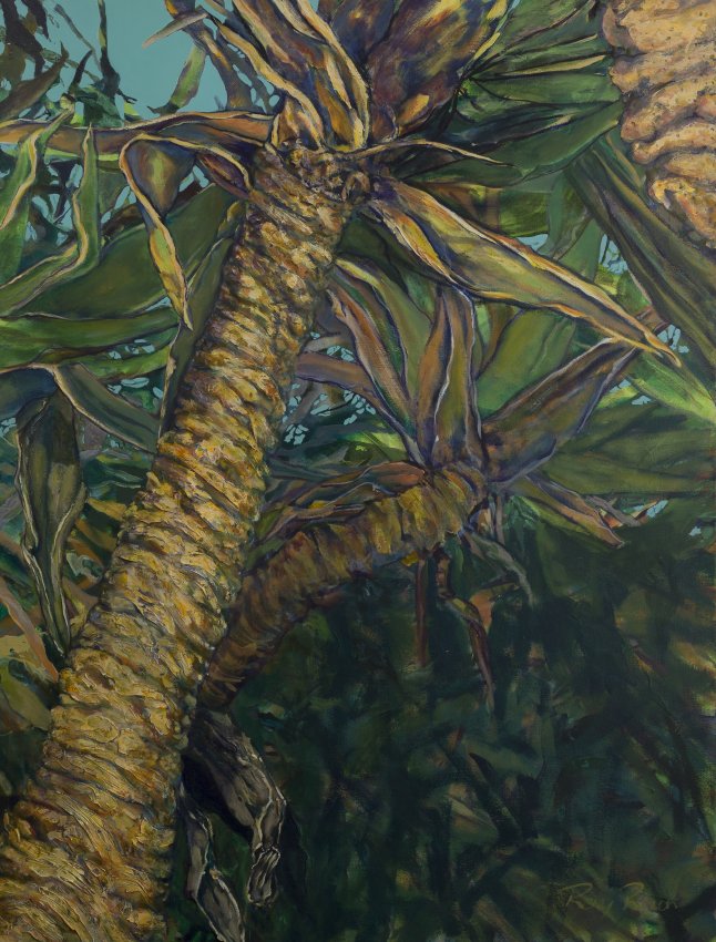 Canopy