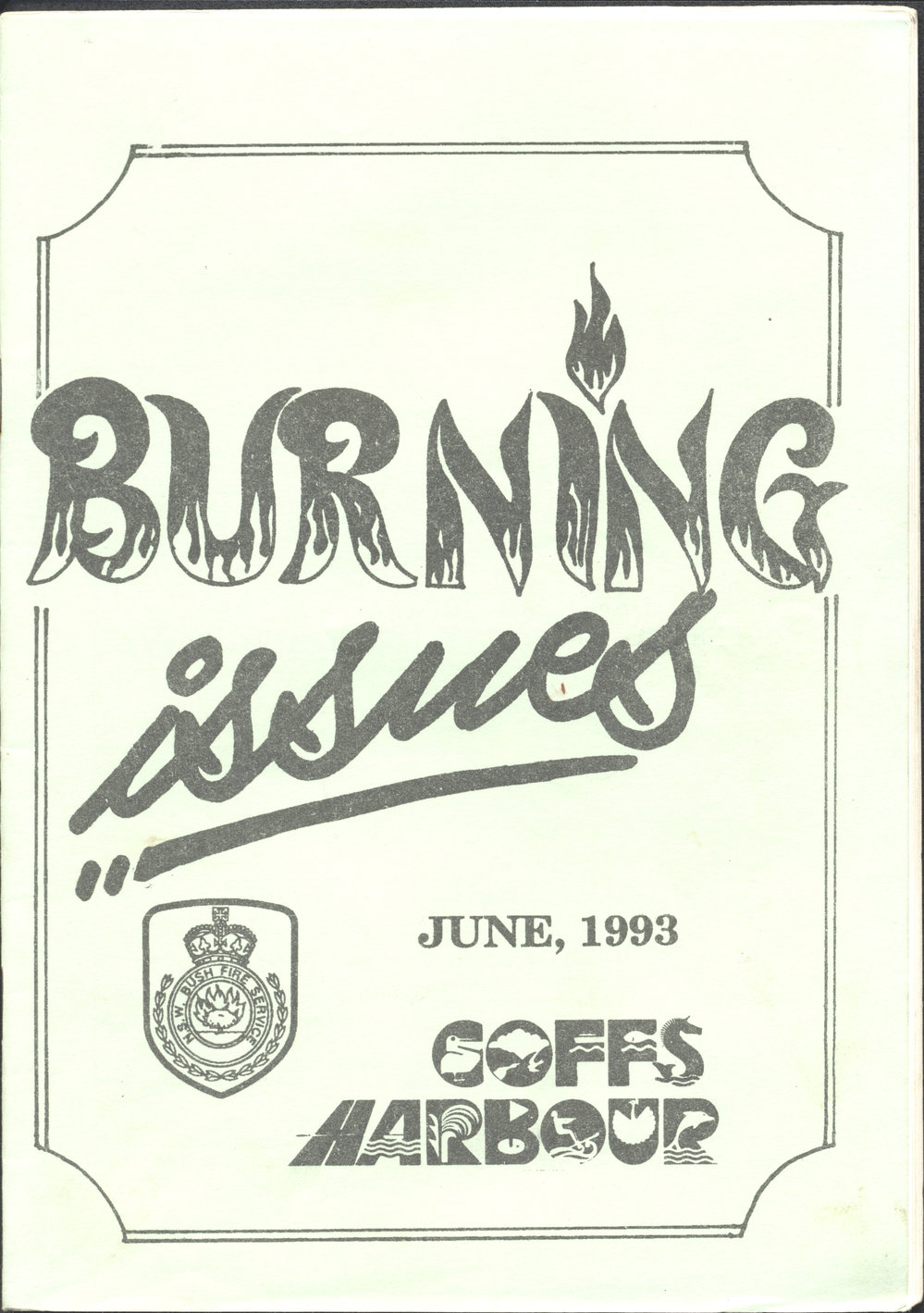 Burning Issues, June 1993