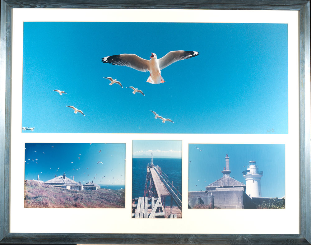 Life on the Lighthouse