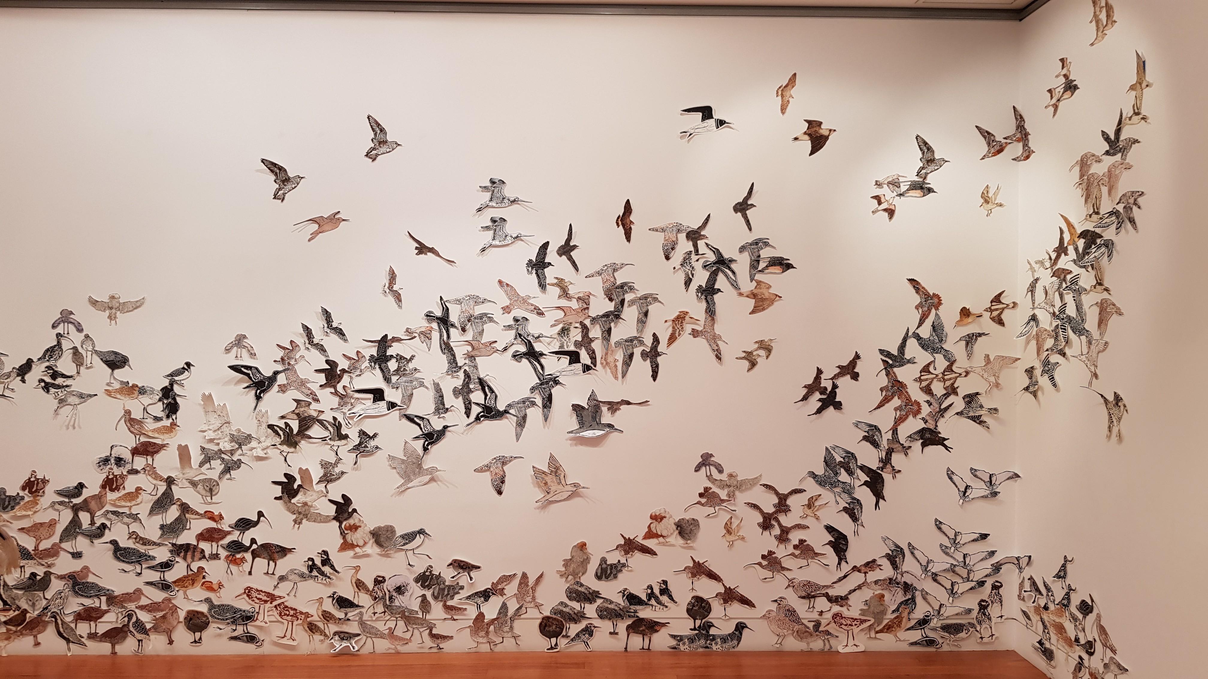 The 'Wall of Wings', coordinated by local artist Penelope Lawry.