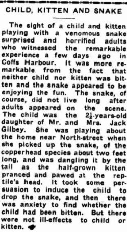 CHILD, KITTEN AND SNAKE (1935, November 1). Coffs Harbour Advocate (NSW : 1907 - 1942; 1946 - 1954), p. 2. http://nla.gov.au/nla.news-article189055853
