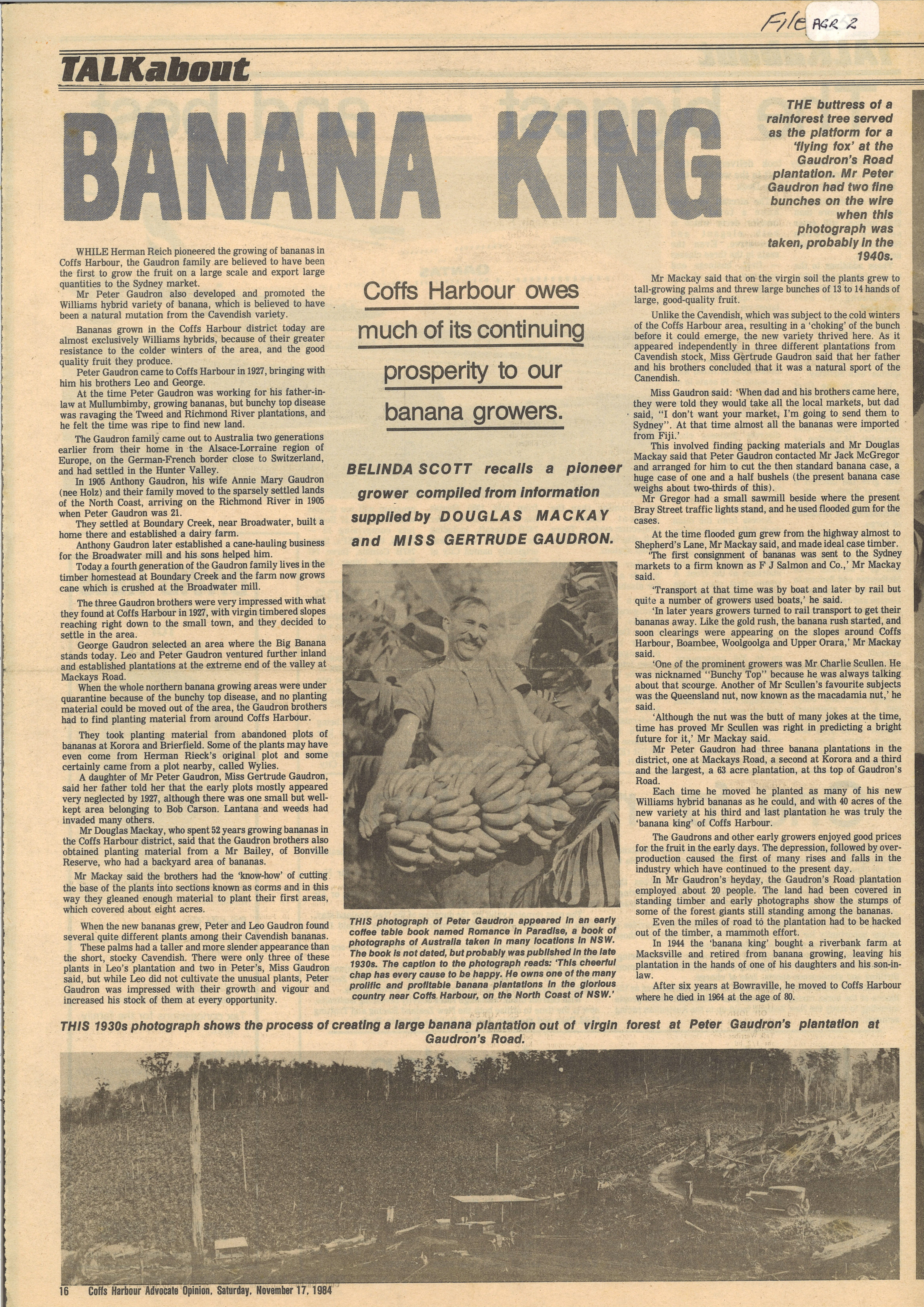 Coffs Harbour Advocate Opinion
17 November 1984, p.16