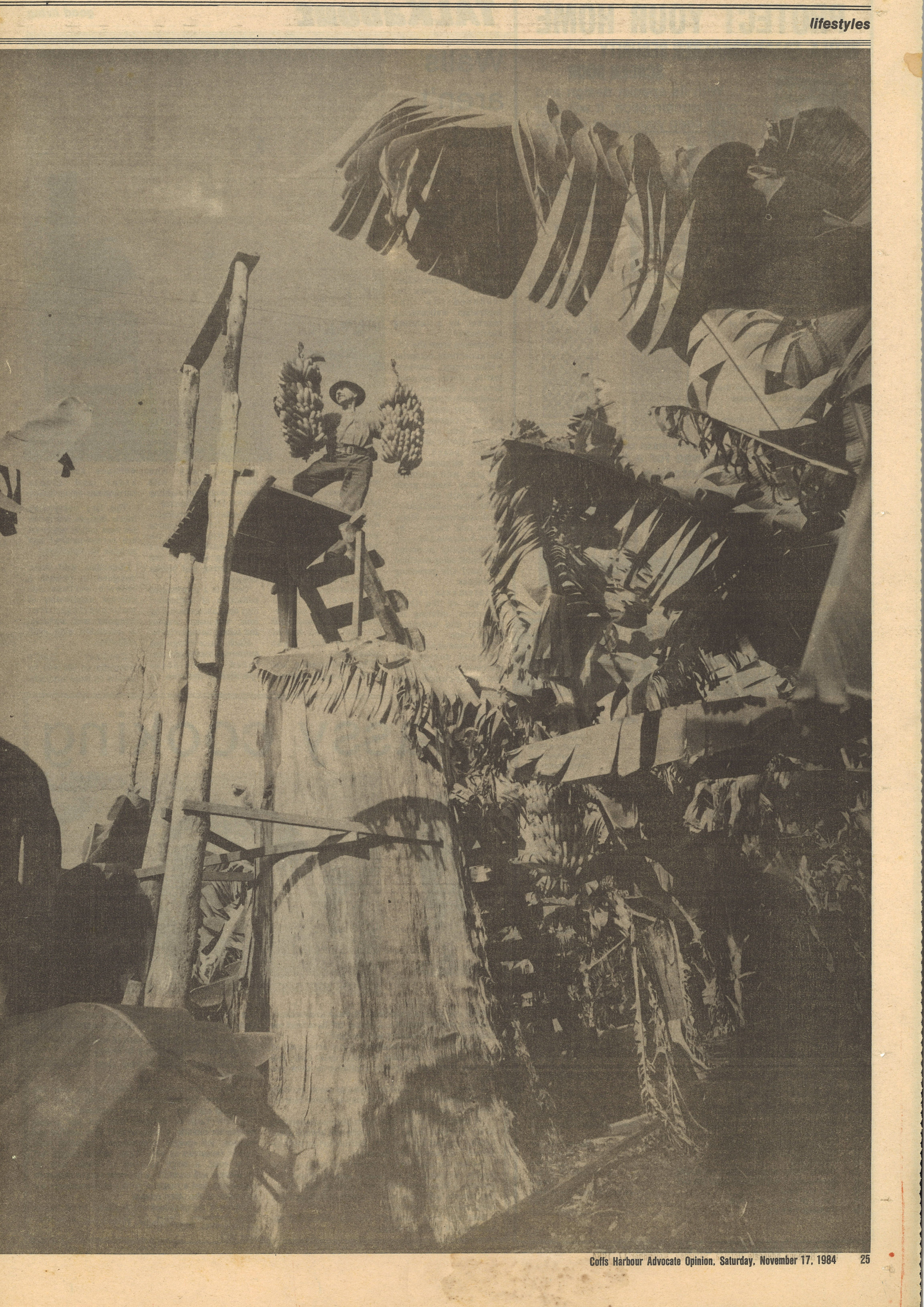 Coffs Harbour Advocate Opinion
17 November 1984, p.25