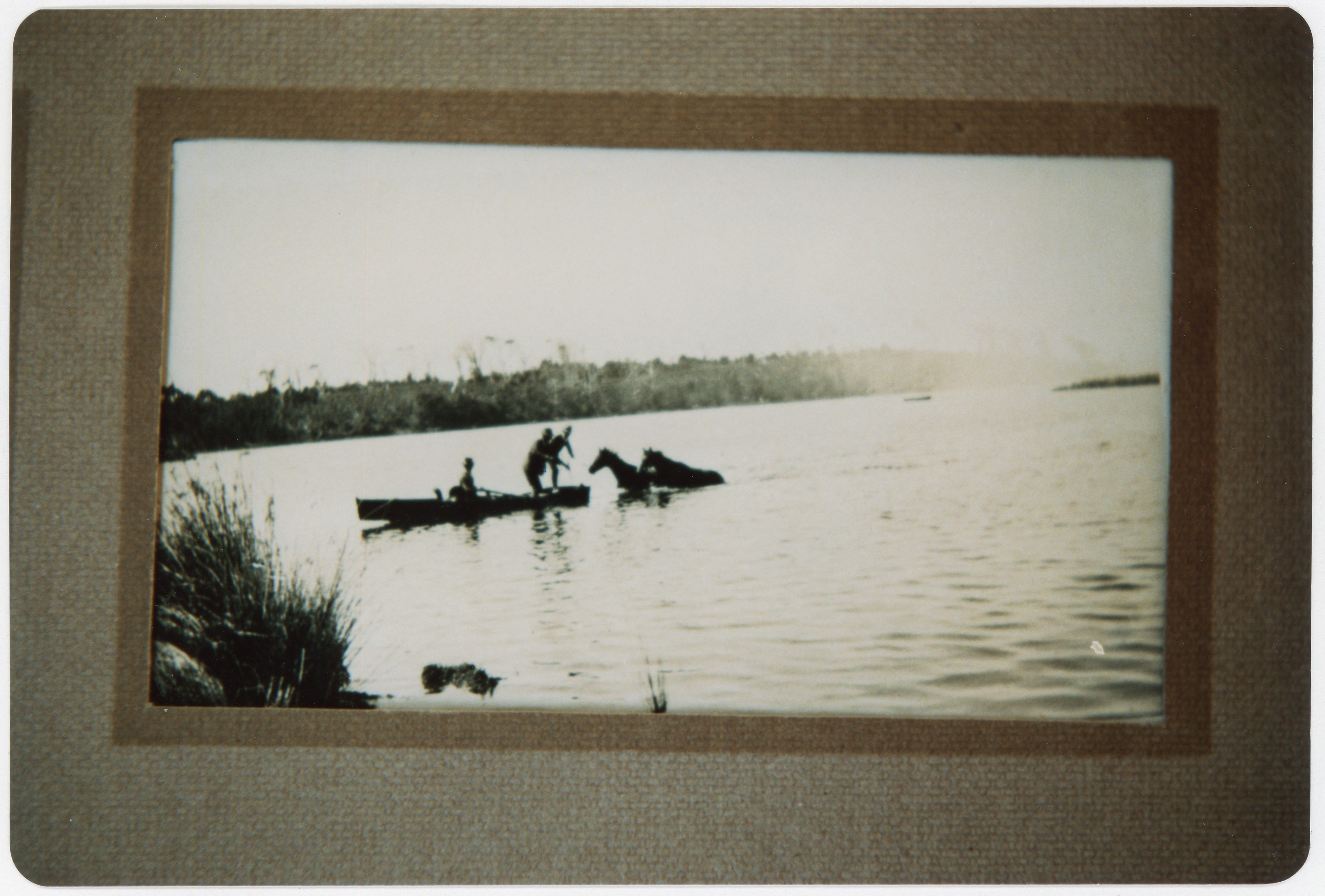 Swimming the horses across the river 