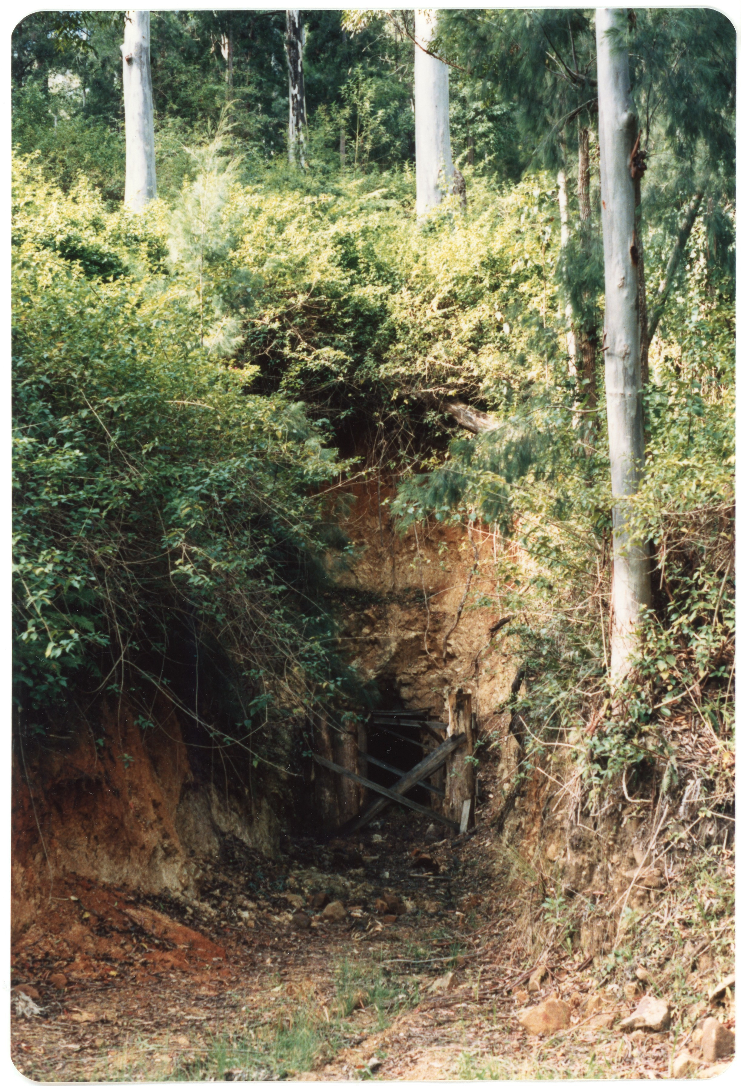 Entrance to the Coramba King gold mine, c.1986