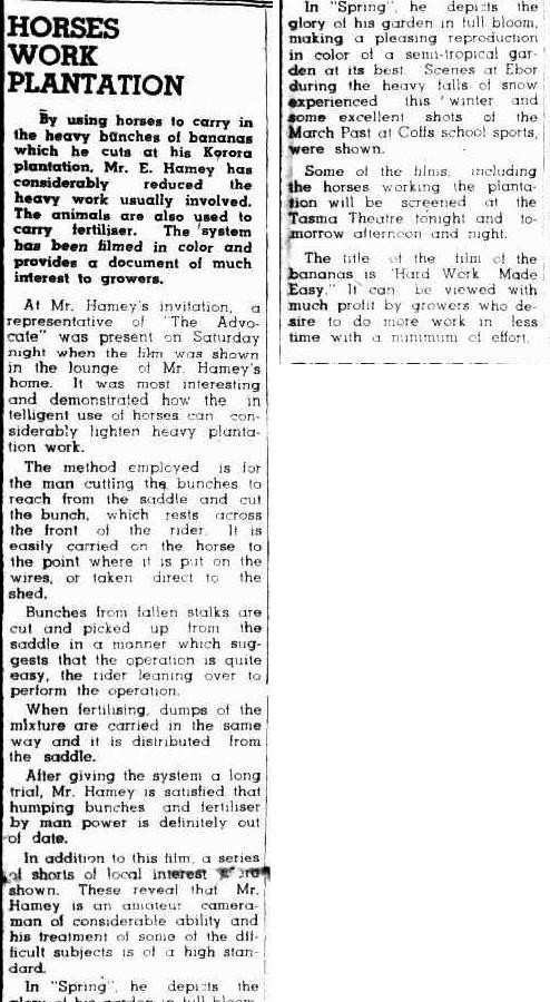 HORSES WORK PLANTATION (1949, August 26). Coffs Harbour Advocate (NSW : 1907 - 1942; 1946 - 1954), p. 1 (Edition 2). 
http://nla.gov.au/nla.news-article185057749