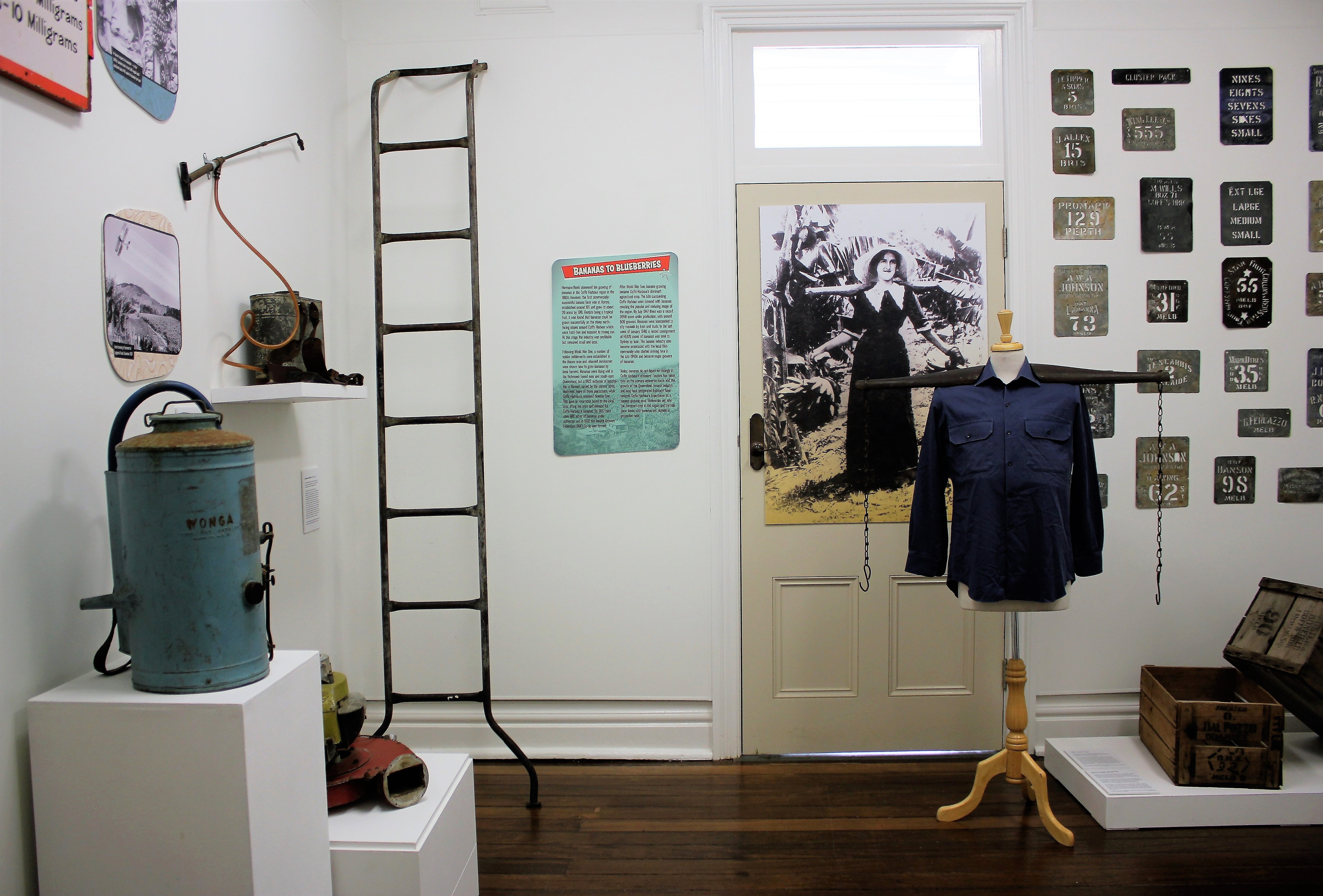 Equipment used on banana plantations, including a homemade ladder designed to lean against banana trees.