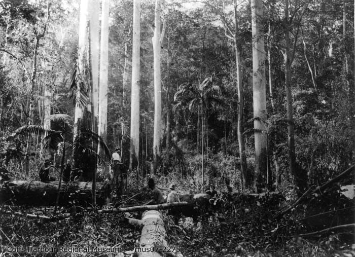 Timber-getters, Bonville, 1910