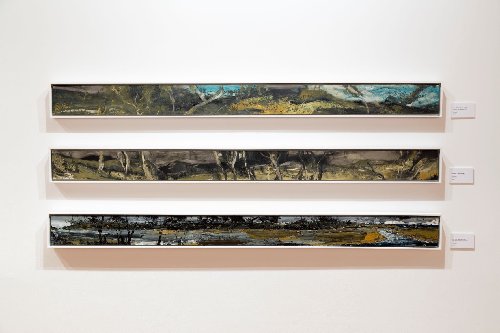 Works by Amanda Penrose Hart