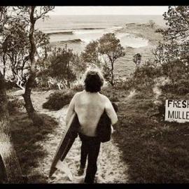 Fresh mullet v.II - Angourie, 1972