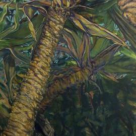 Canopy