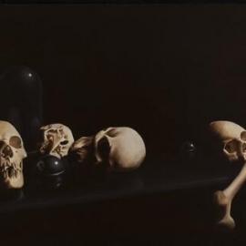 Monitored skulls I