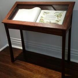 Display Cabinet, 2007