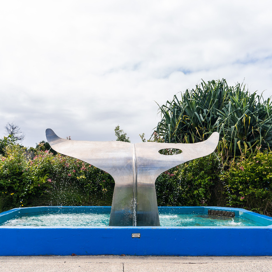 The Humpback Whale, or The Whale Tail, Coffs Harbour Jetty