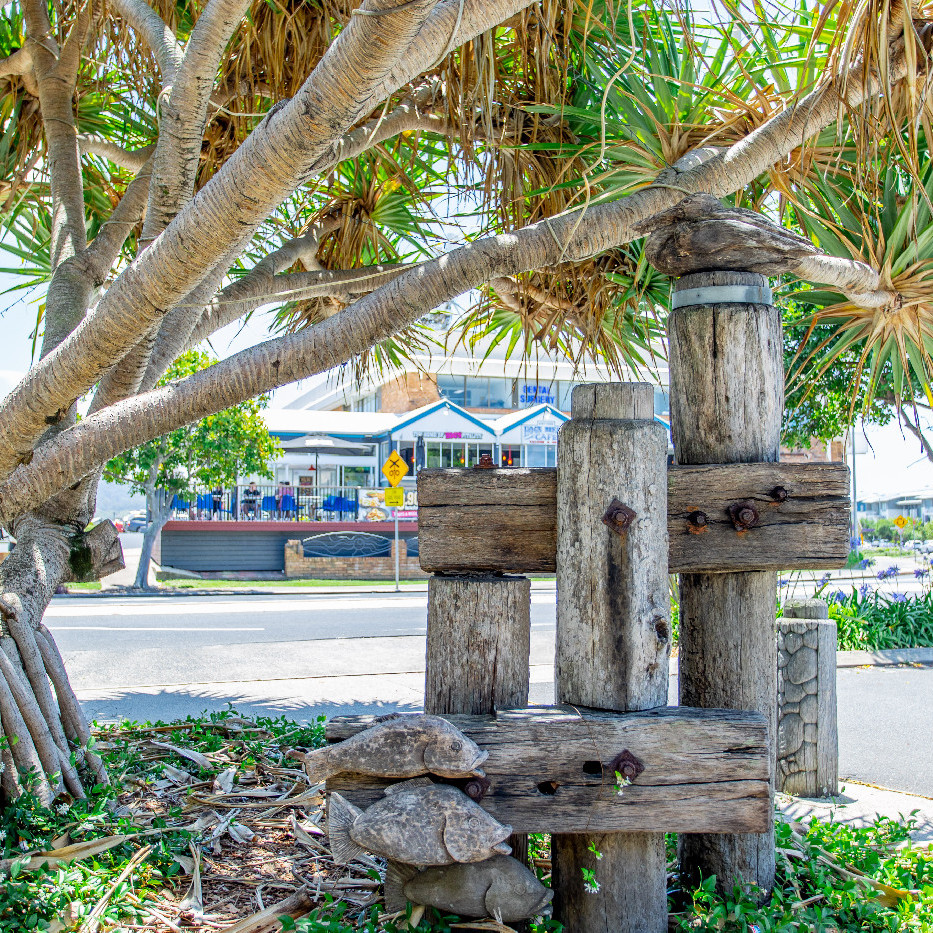 Pelican and Fish, Coffs Harbour Jetty