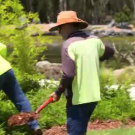 Coffs Harbour City Council television advertising, 2019