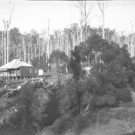 Timber hand-sawing near Julius Andersen's farm 'Myuna', 21 October 1923
