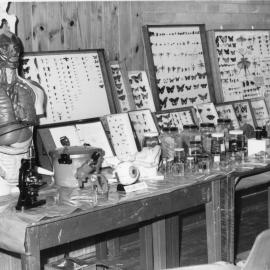 Education Week at Orara High School, 1977 