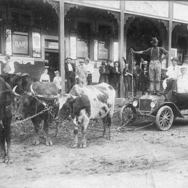 Bob Carney with his bullock team attached to a car, c. 1912