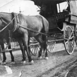 Horses and family buggy, c.1910