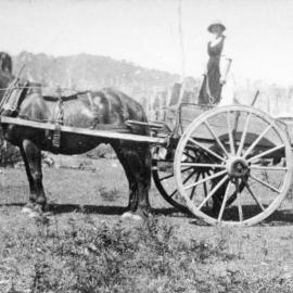 Mary Shannon standing on a horsedrawn cart, 1930s