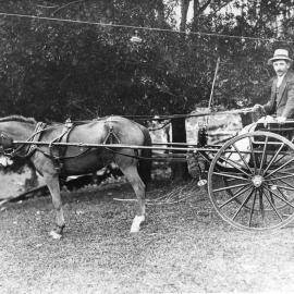 Charlie Davis with horse and sulky, c. 1900