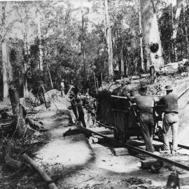 Building the tramline for the British Australian Timber Company through Bruxner Park, 1908-1912