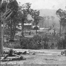 Masonic Hall with small terrier, 1905
