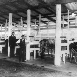 At William Mann's dairy, November 1916 