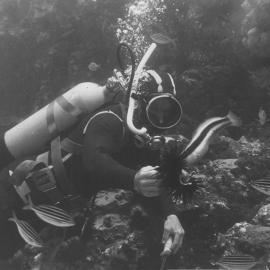 Ross Burton feeds fish at South Solitary Island