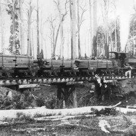 Andrew Barclay locomotive working with one of Coffs Harbour Timber Co.'s sawmills, 1915