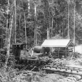 A log hauler at Bucca Creek Valley, 1910