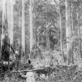 Timber cutters at work, 1920 